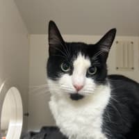 Photo of Daisy