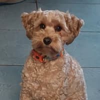 Photo of Layla And Lena 