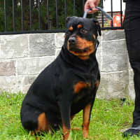 Photo of Mia