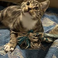 Photo of Monty