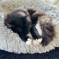 Photo of Mimi