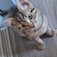 Photo of Sammy