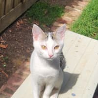 Photo of Verity & Solace