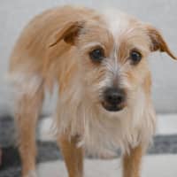 Photo of Jolene