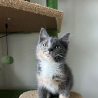 Photo of Peanut 🥜