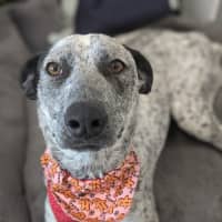 Photo of 🎀 Monica 5585 🎀