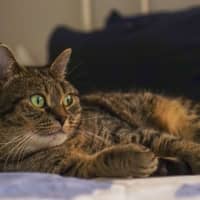 Photo of 💖Rin!!💖