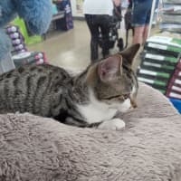 Photo of Martha   Loves Children