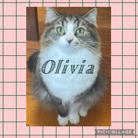 Photo of Olivia 