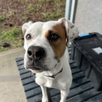 Photo of Jurdoo
