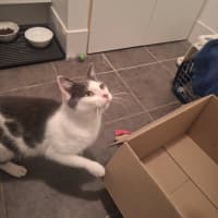 Photo of Daisy