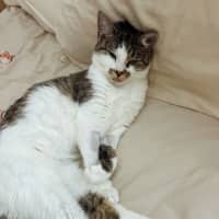 Photo of Charlee