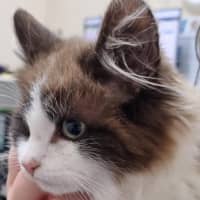 Photo of Luca