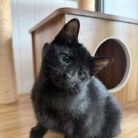 Photo of Laverne