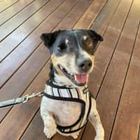 Photo of Bella Valenti