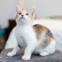 Photo of Squeak
