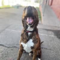 Photo of Edgar