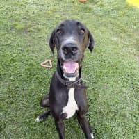 Photo of Hershey