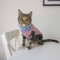 Photo of Sharona 