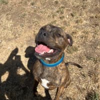 Photo of Ralphy Aka Wreck It Ralph