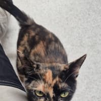 Photo of Faye (8925)