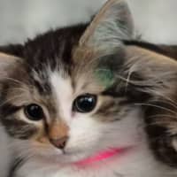 Photo of Zoe