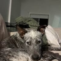 Photo of Rory