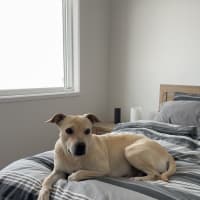 Photo of Lucy
