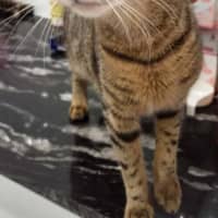 Photo of Cassey
