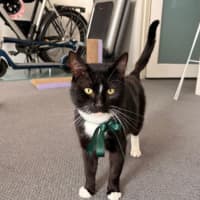 Photo of Mr Taco