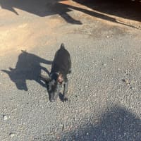 Photo of Felice (Astrid)