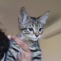Photo of Deitri