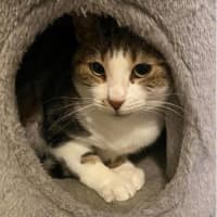 Photo of 8317   Beatrix