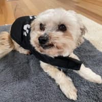 Photo of Bianca / Stella