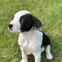 Photo of Bug