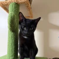 Photo of Ollie 