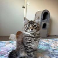 Photo of Cha Cha