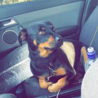 Photo of Ally And Lilly