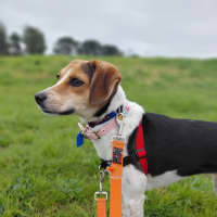 Photo of Lola