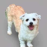 Photo of Bilo