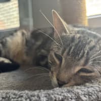Photo of Finn