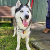Photo of Max