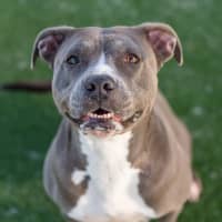 Photo of Versace Imp 1821