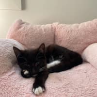 Photo of Astrid & Nova