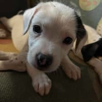Photo of Lenny