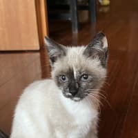 Photo of Riff