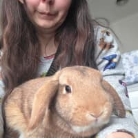 Photo of Raisin