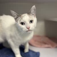 Photo of Finley 
