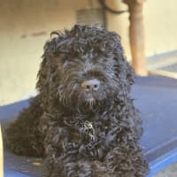 Photo of Prince Edward 