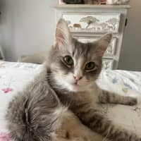 Photo of Pippy